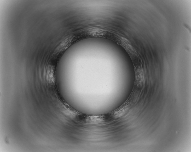 X0000098020622200804071355