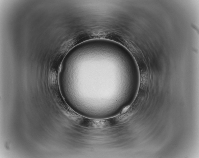 X0000098020623200804071355