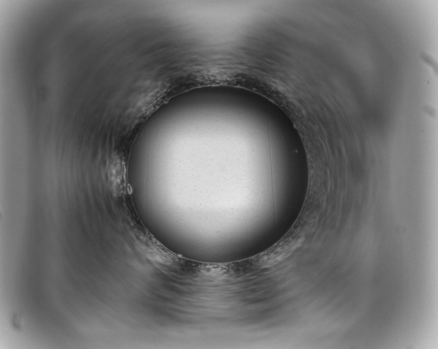 X0000098020624200804071355