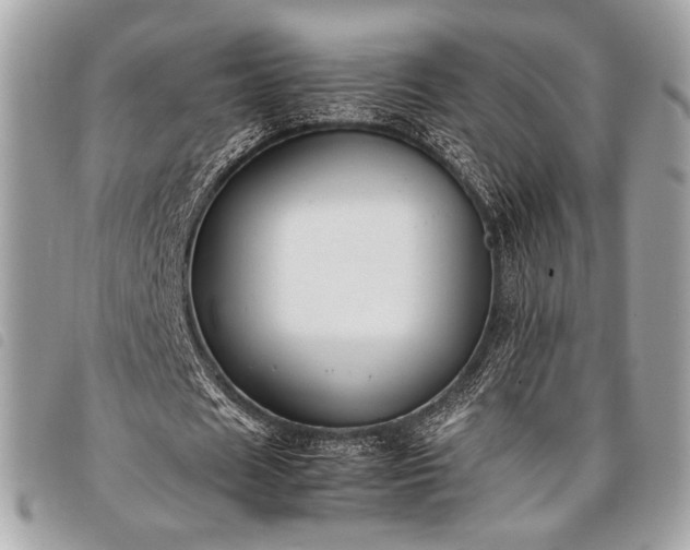 X0000098020625200804071354