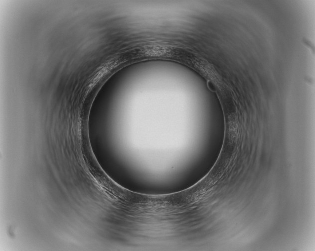 X0000098020626200804071354