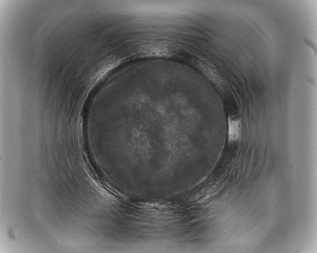 X0000098020627200804071354