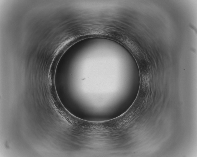 X0000098020628200804071354