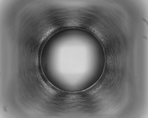 X0000098020629200804071354