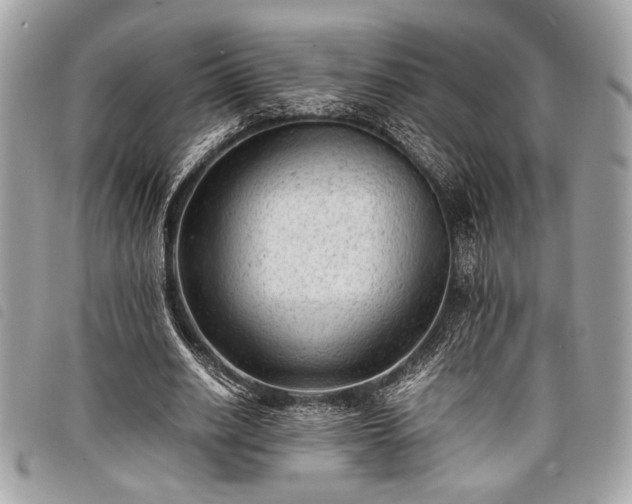 X0000098020630200804071354