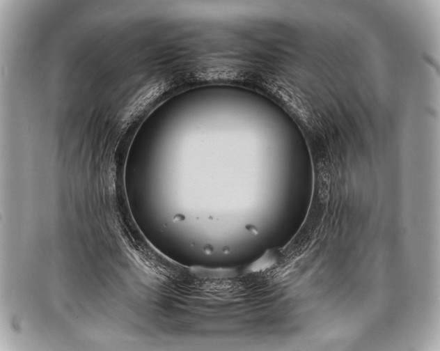 X0000098020631200804071354