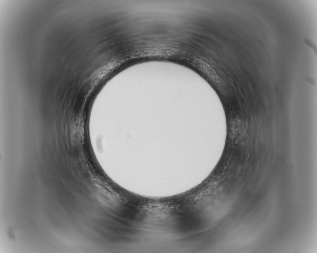 X0000098020632200804071354