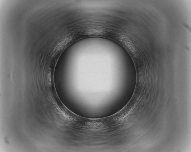 X0000098020633200804071354