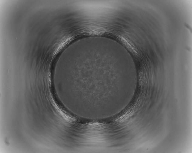 X0000098020634200804071354