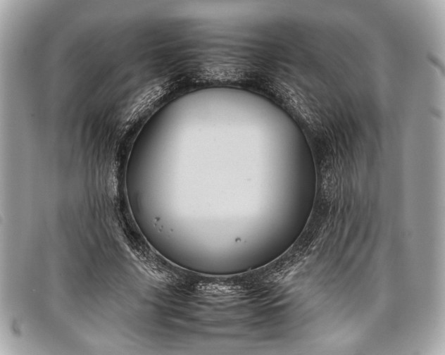 X0000098020635200804071354