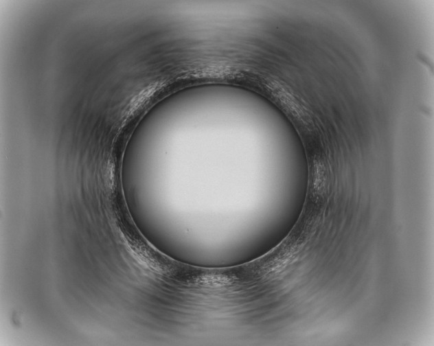 X0000098020636200804071354