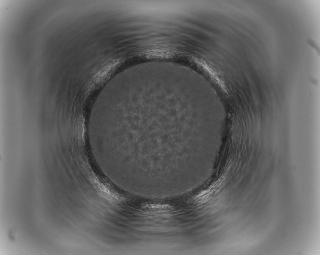 X0000098020637200804071355