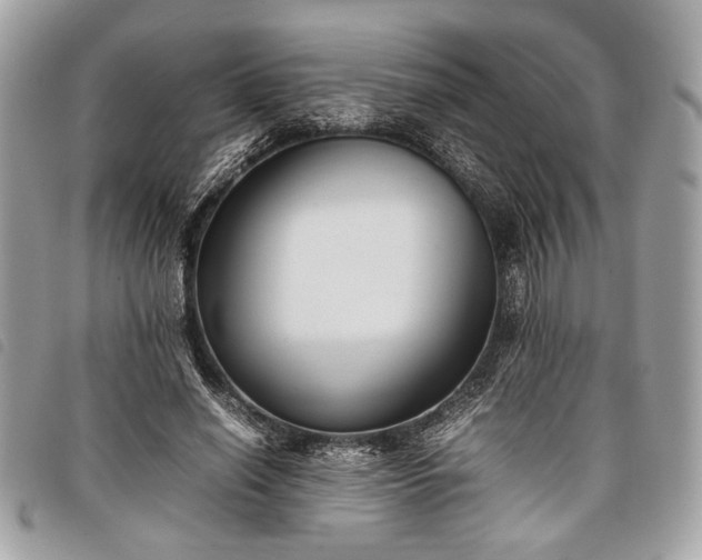 X0000098020638200804071355