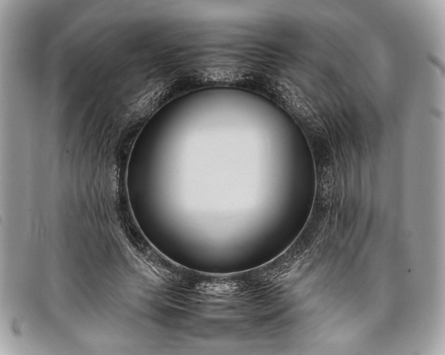 X0000098020639200804071355