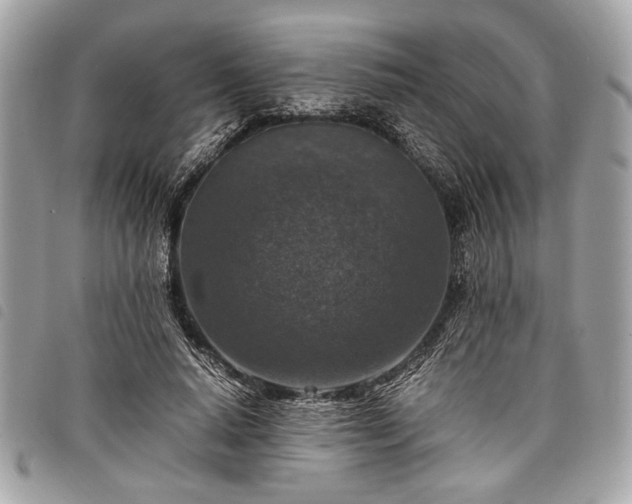 X0000098020640200804071355