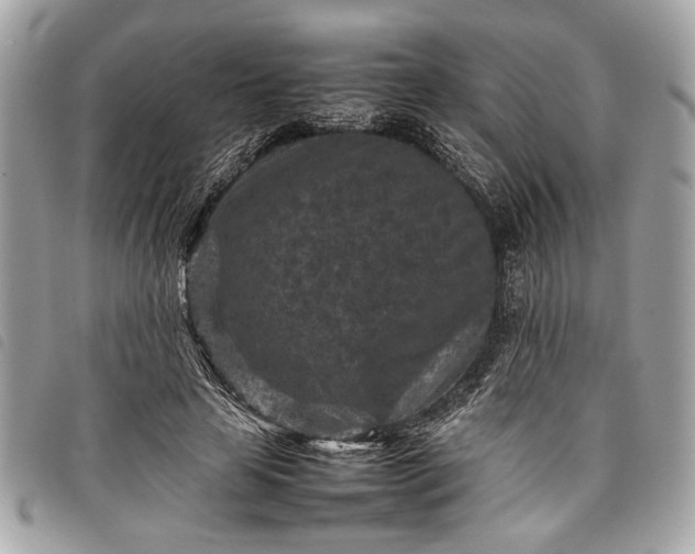 X0000098020641200804071355