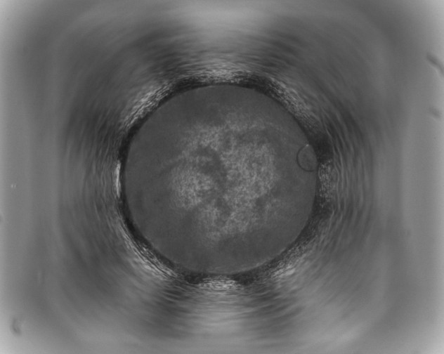 X0000098020642200804071355