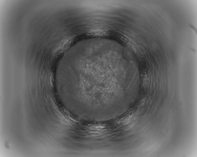 X0000098020643200804071355