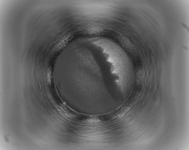 X0000098020644200804071355