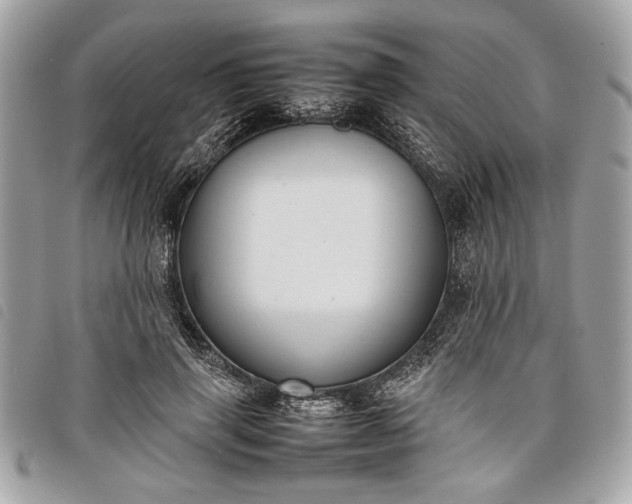 X0000098020645200804071355