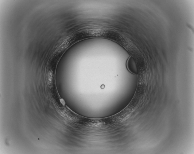 X0000098020646200804071355