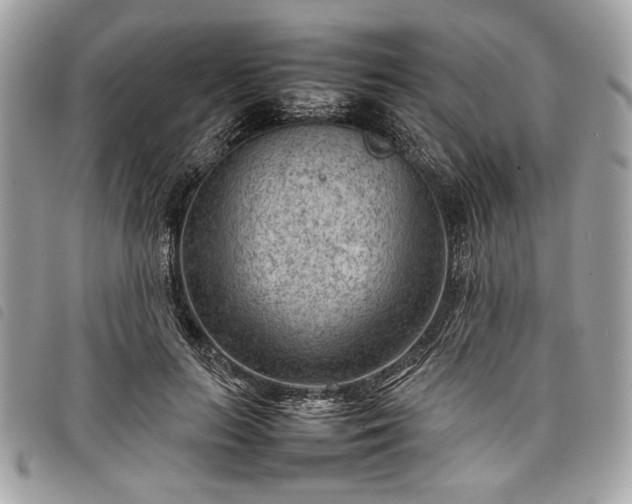 X0000098020647200804071355