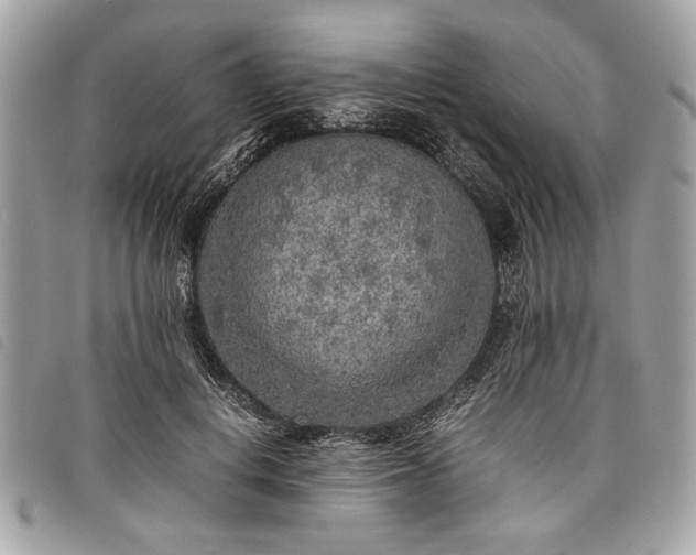 X0000098020648200804071355