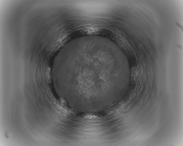 X0000098020650200804071355