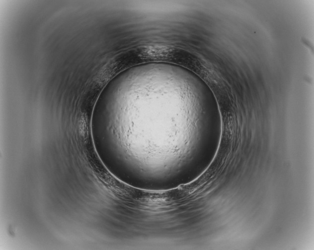 X0000098020651200804071355