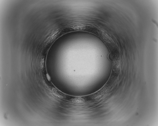 X0000098020652200804071355