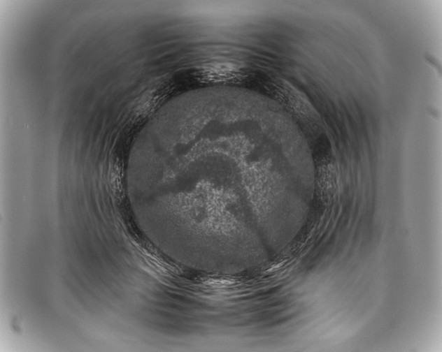 X0000098020653200804071355