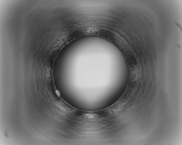 X0000098020654200804071355