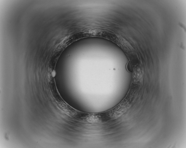 X0000098020656200804071355