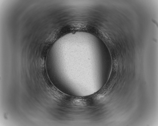 X0000098020657200804071355