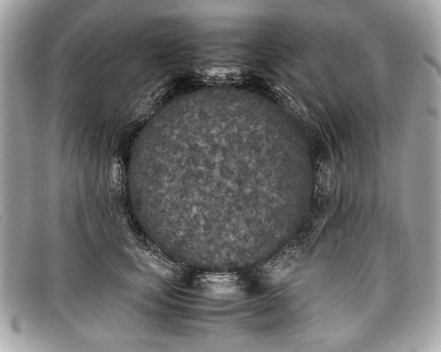 X0000098020659200804071355