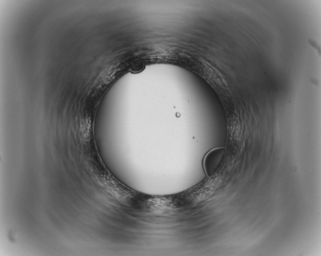 X0000098020660200804071355