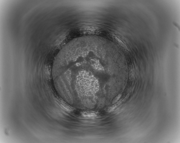 X0000098020661200804071355