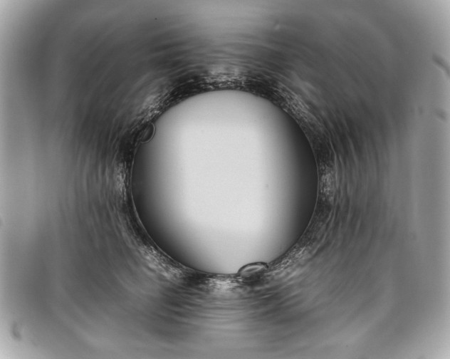 X0000098020662200804071355