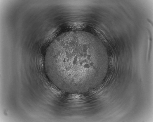 X0000098020663200804071355