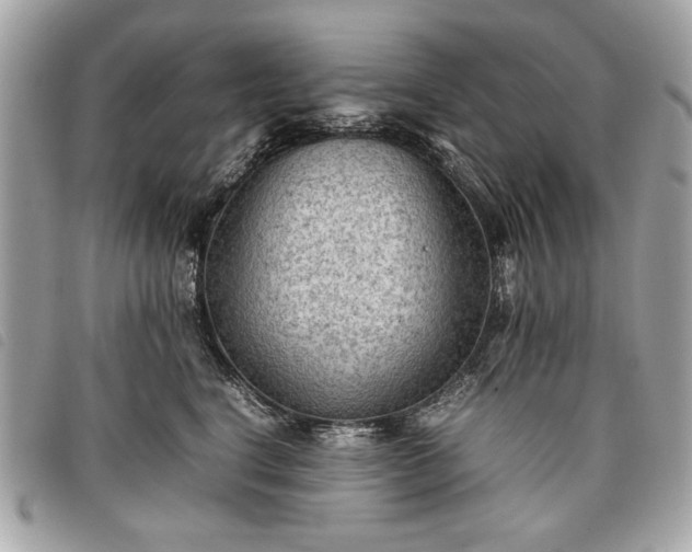 X0000098020664200804071355