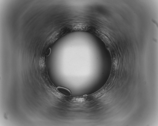 X0000098020665200804071355