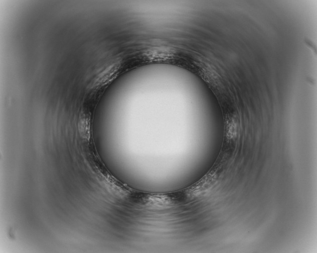 X0000098020666200804071355