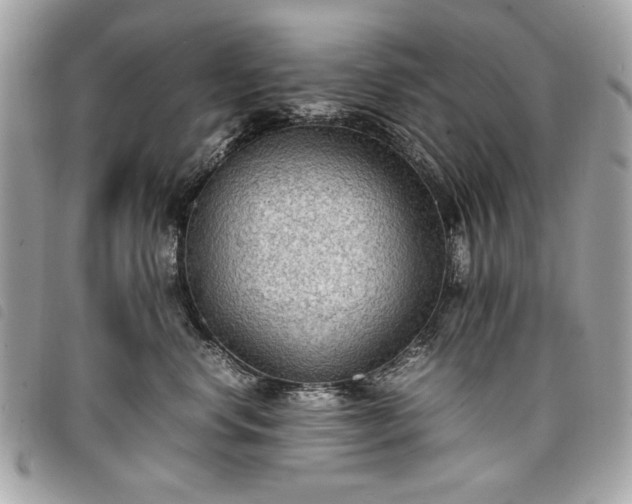 X0000098020668200804071355