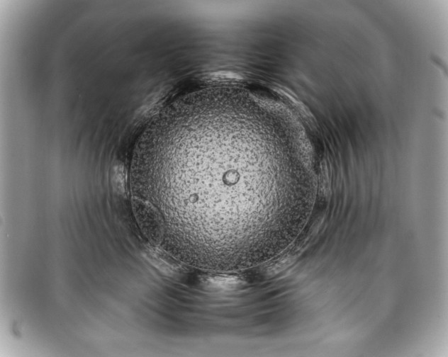 X0000098020669200804071355