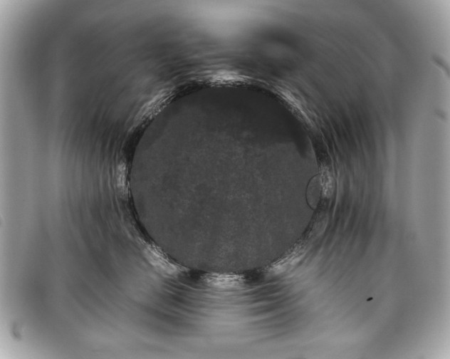 X0000098020670200804071355