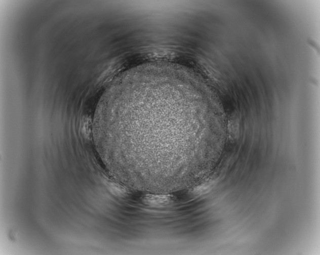 X0000098020671200804071355