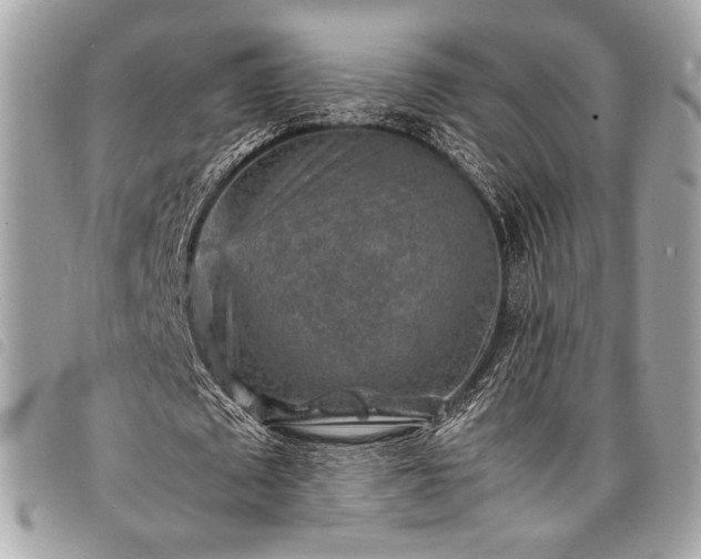 X0000098020673200804071354