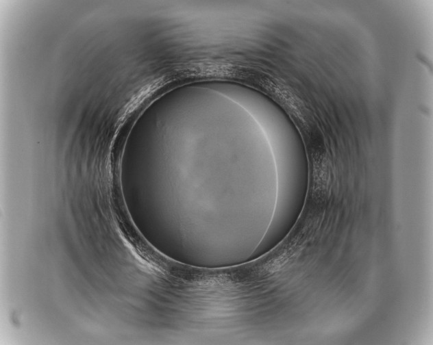 X0000098020674200804071354