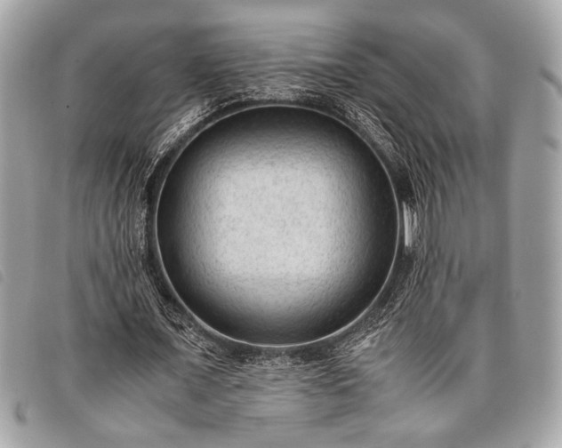 X0000098020675200804071354