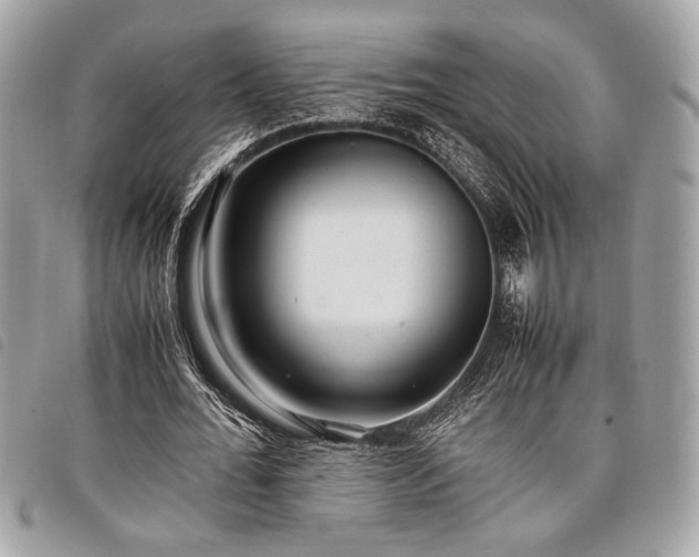 X0000098020676200804071354